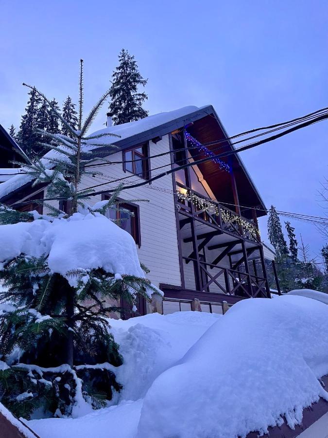Котедж Chalet Adriana Bukovel Exterior photo