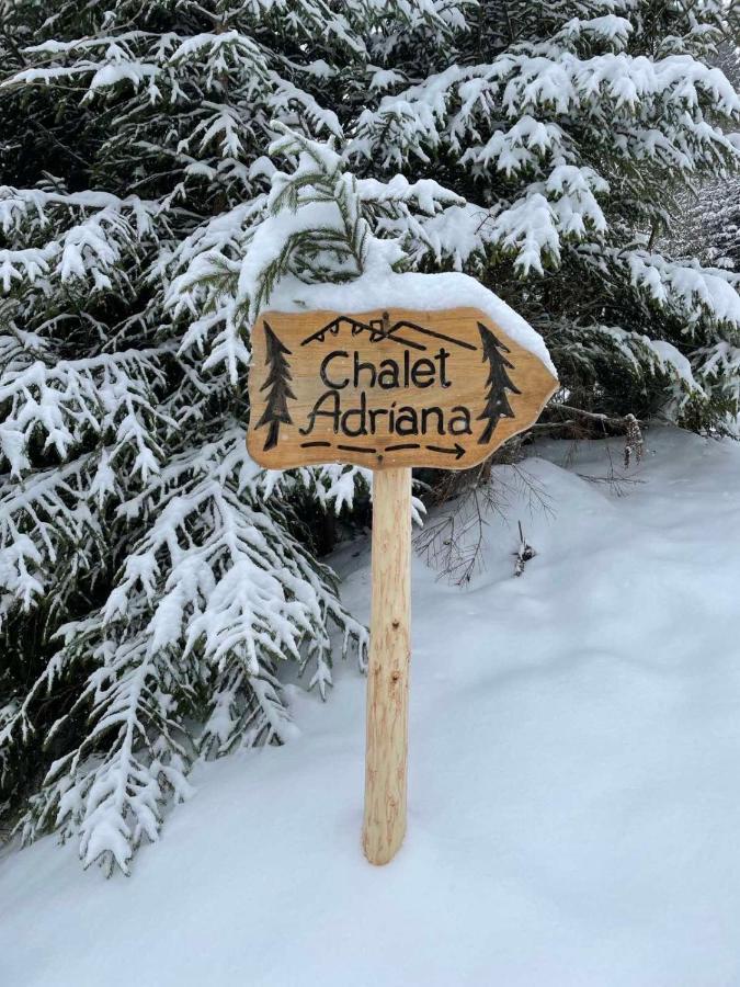 Котедж Chalet Adriana Bukovel Exterior photo